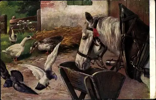 Ak Bauernhof, Pferd im Stall, Zaumzeug, Tauben, Gänse