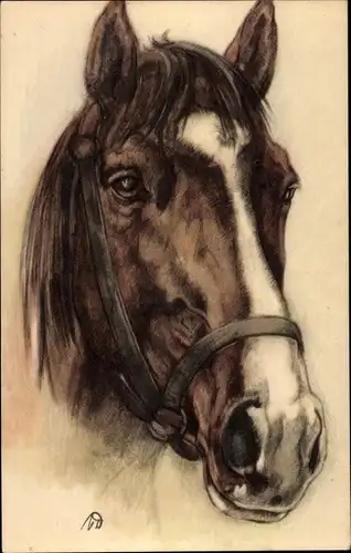 Künstler Ak Braunes Pferd, Tierportrait, Zaumzeug