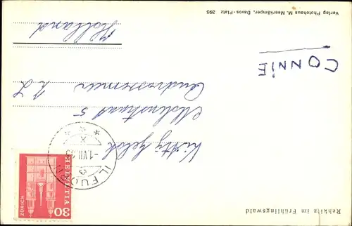 Ak Reh, Jungtier, Frühlingswald