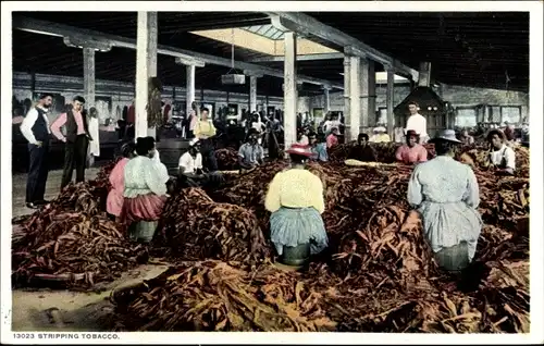 Ak Virginia USA, Stripping Tobacco