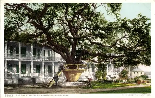 Ak Biloxi Mississippi USA, Old Oak, Hotel de Montross