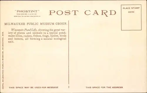 Ak Wisconsin USA, Teichleben