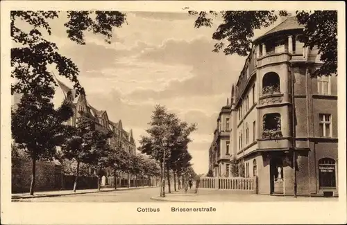 Ak Cottbus in der Niederlausitz, Briesener Straße