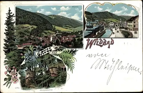 Litho Bad Wildbad im Schwarzwald, Totalansicht, Anlagen, Blumen