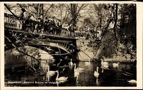 Ak Düsseldorf am Rhein, Goldene Brücke, Hofgarten, Schwäne, Passanten