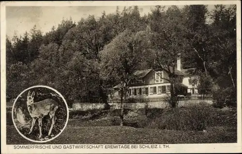 Ak Schleiz im Vogtland Thüringen, Gasthof Eremitage, Rehkitz