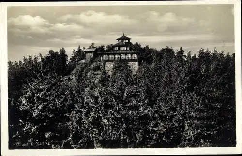 Ak Wunsiedel im Fichtelgebirge Oberfranken, Kösseinehaus