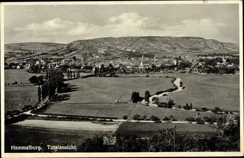 Ak Hammelburg in Unterfranken Bayern, Totalansicht