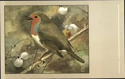 Künstler Ak Rotkehlchen, Vogel