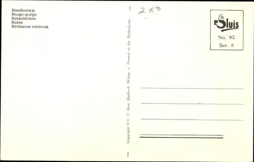 Künstler Ak Rotkehlchen, Vogel
