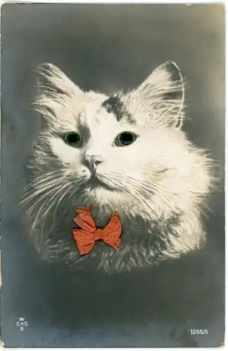 Stoff Ak Weiße Katze mit Plastikaugen, Rote Stoff-Schleife, Tierportrait