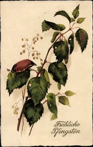 Präge Ak Glückwunsch Pfingsten, Maikäfer, Laubblätter