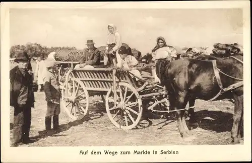 Ak Auf dem Wege zum Markte in Serbien, Pferdefuhrwerk, Tracht