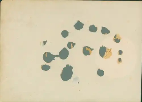 Foto Schauspieler Max Kirsten Jr. ?, Portrait, Autogramm