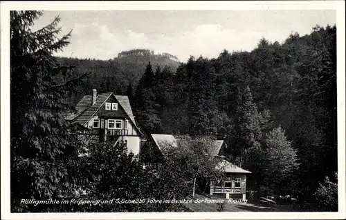 Ak Reinhardtsdorf Schöna in Sachsen, Rölligmühle im Krippengrund Elbsandsteingebirge