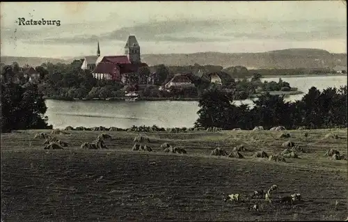 Ak Ratzeburg im Herzogtum Lauenburg, Panorama, Heu