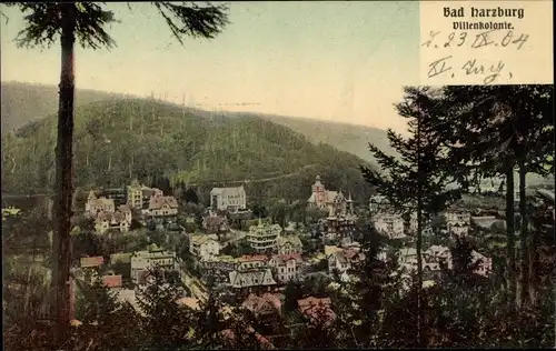 Ak Bad Harzburg am Harz, Villenkolonie