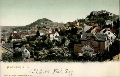 Ak Blankenburg am Harz, Ortsansicht