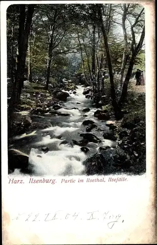 Ak Ilsenburg im Harz, Ilsefälle, Ilsetal