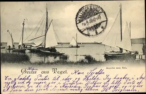 Ak Berlin Reinickendorf Tegel, Tegeler See, Segelboote