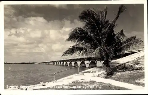 Foto Ak Key West Florida USA, Spanish Harbor Viaduct, Overseas Highway, Palme