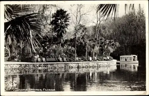 Foto Ak Silver Springs Florida USA, Boot, Palmen