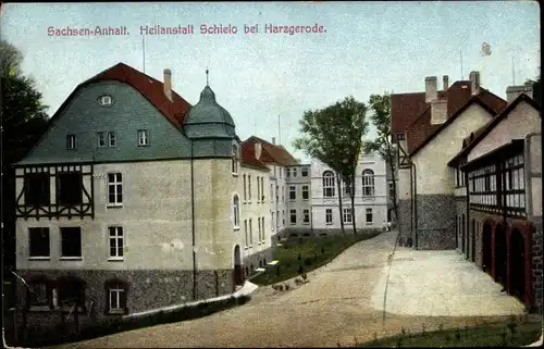 Ak Schielo Harzgerode am Harz, Heilanstalt, Straßenpartie