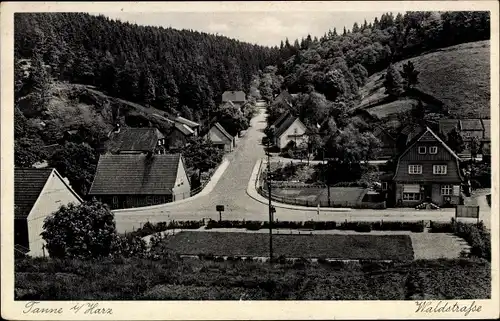 Ak Tanne Oberharz am Brocken, Blick in die Waldstraße, Delikatessen