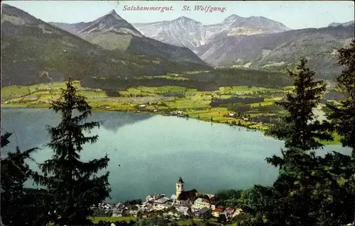 Ak St. Wolfgang im Salzkammergut Oberösterreich, Gesamtansicht, See