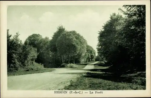 Ak Hesdin Pas de Calais, La Foret