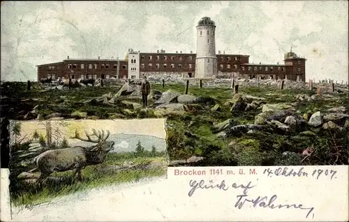 Ak Brocken Nationalpark Harz, Blick auf Turm und Hotel, Hirsch