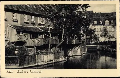 Ak Erfurt in Thüringen, Blick vom Junkersand