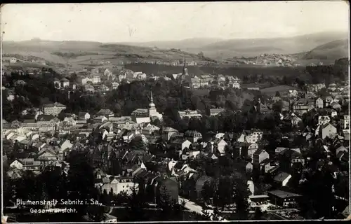 Ak Sebnitz Sächsische Schweiz, Panorama