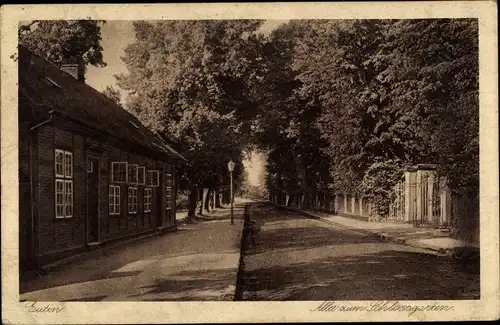 Ak Eutin in Ostholstein, Allee zum Schlossgarten