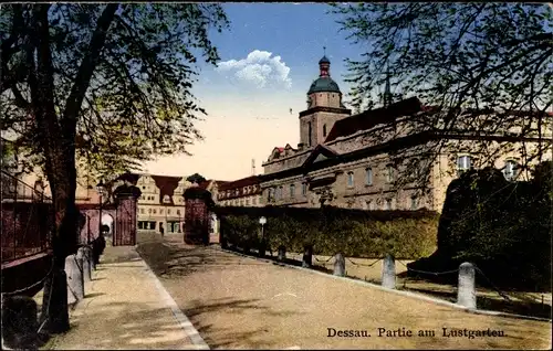 Ak Dessau, am Lustgarten, Portal, Bäume