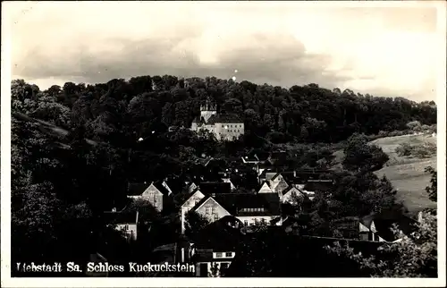 Foto Ak Liebstadt Erzgebirge Sachsen, Schloss Kuckuckstein