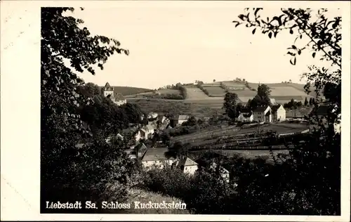 Foto Ak Liebstadt Erzgebirge Sachsen, Schloss Kuckuckstein, Panorama