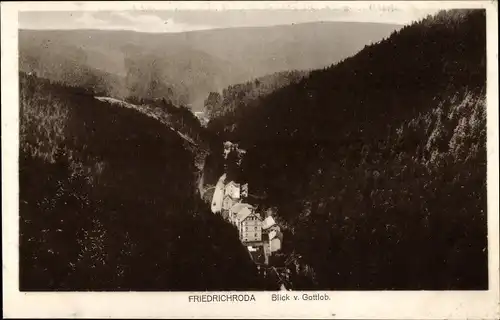 Ak Friedrichroda im Thüringer Wald, Blick vom Gottlob