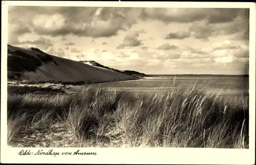 Ak Insel Amrum Nordfriesland, Nordkap, Odde