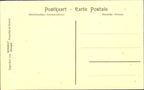 Ak Moanda DR Kongo Zaire, Borassus-Palmen