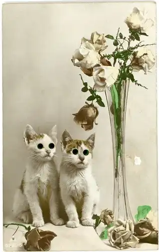 Stoff Ak Weiße Katzen mit Plastikaugen, Blumenvase, Rosen, Tierportrait