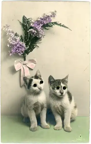 Stoff Ak Katzen mit Plastikaugen, Blumen, Schleife, Tierportrait