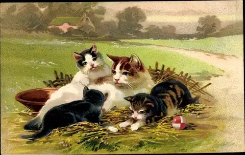 Präge Ak Katzen-Familie, Ball, Schale, Katzenmutter