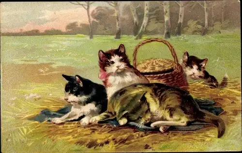 Präge Ak Katzen-Familie, Korb, Katzenmutter