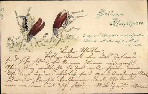 Präge Litho Glückwunsch Pfingsten, Maikäfer, Wiese