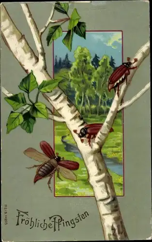 Ak Glückwunsch Pfingsten, Maikäfer, Birke