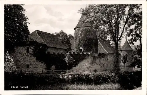 Ak Hallwil Kanton Aargau, Schloss