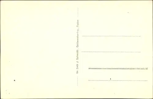 Ak Hallwil Kanton Aargau, Schloss