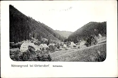 Ak Sokołowsko Görbersdorf Schlesien, Büttnergrund