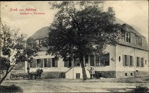 Ak Schöna Cavertitz Sachsen, Gasthof, Forsthaus